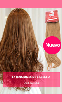 Nuevos Productos